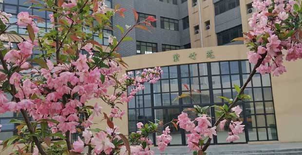 滕州新科職業高中學生公寓