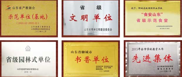 聊城高級財經職業學校榮譽稱號