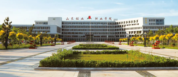 山東鋁業職業學院 山東鋁業職業學院