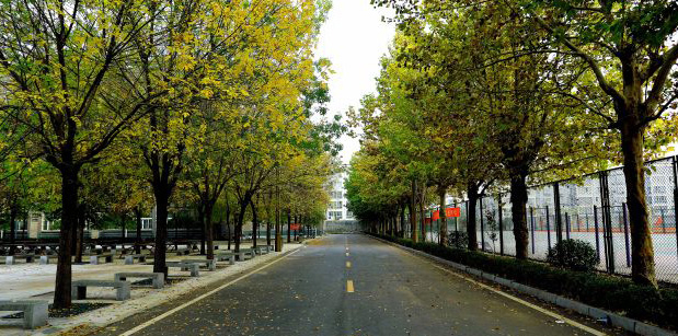 ʝɻ߼W(xu)УУ@h(hun)