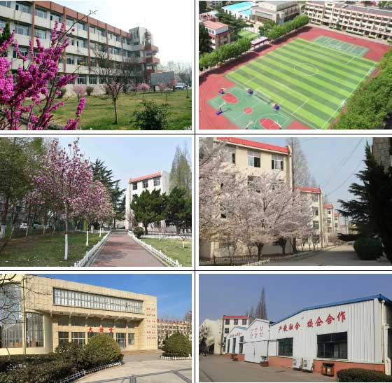 校園環境 校園環境