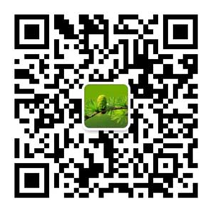 青島大學成考聯系方式