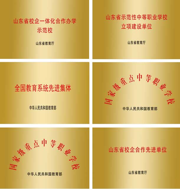 山東藍海職業學校榮譽