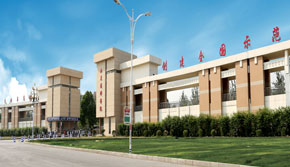 山東技師學(xué)院校門