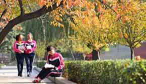 美麗的校園 美麗的校園